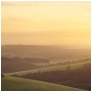 slides/South Downs Sunset from Chanctonbury Hill Fort.jpg sunset,chanctonbury hill, south downs national park,west sussesx,orange glow,couds South Downs Sunset from Chanctonbury Hill Fort